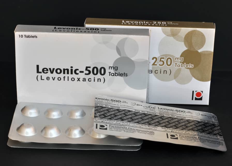 NGO programme manager